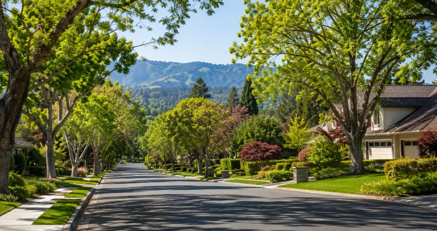 High-Demand Residential Areas In Los Altos.png